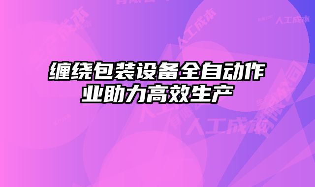 缠绕包装设备全自动作业助力高效生产