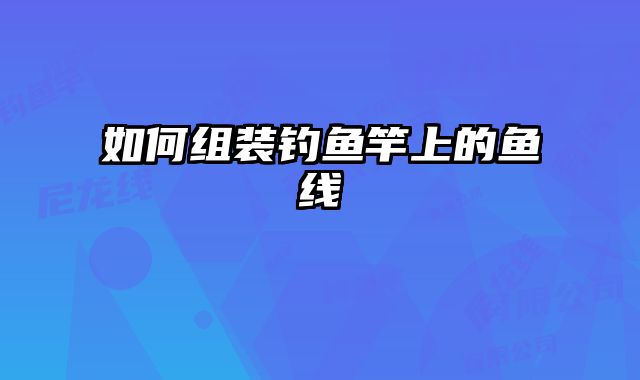 如何组装钓鱼竿上的鱼线