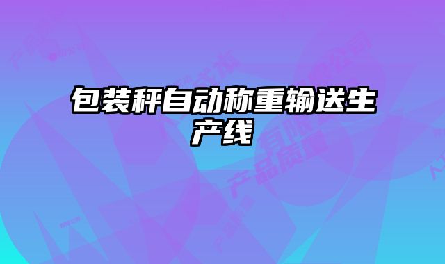 包装秤自动称重输送生产线