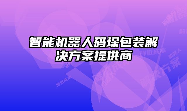 智能机器人码垛包装解决方案提供商